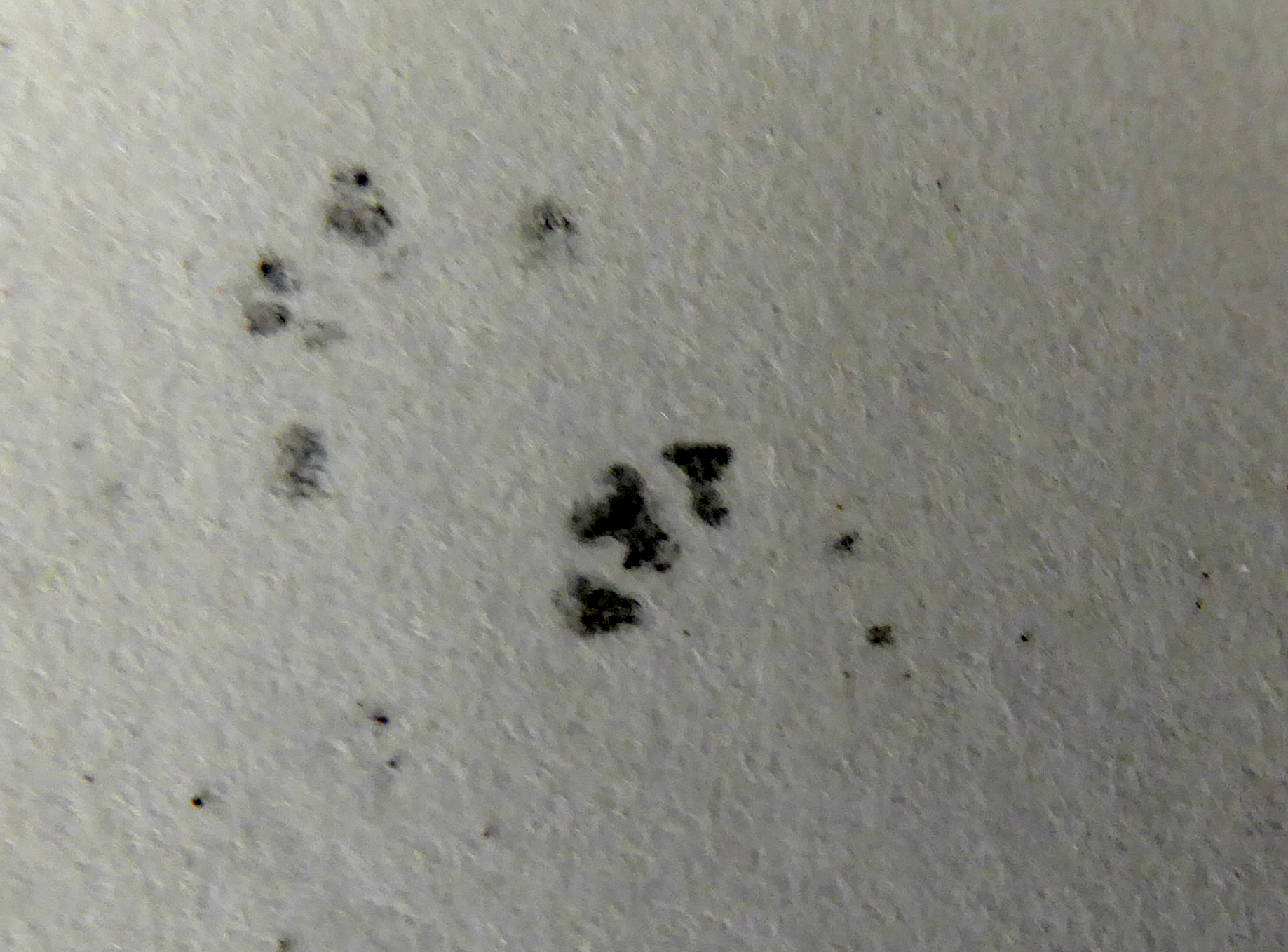 Negative Footprint Tunnel Records