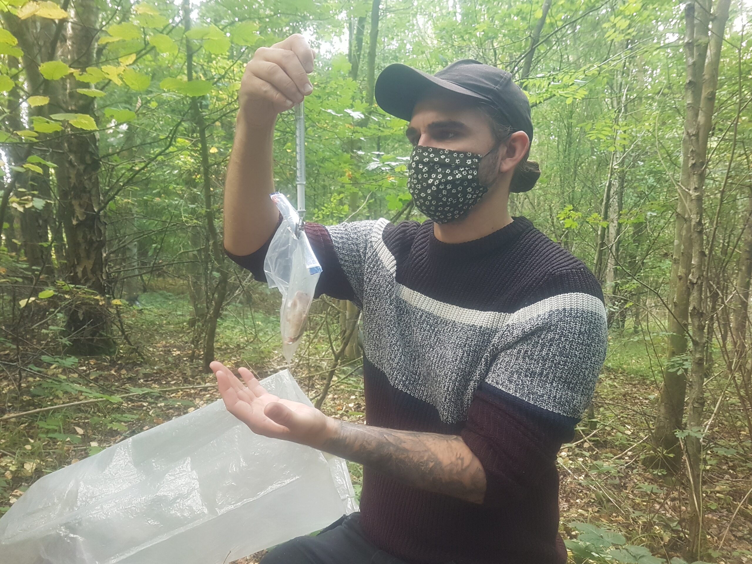 A volunteer holding a dormouse during a training session