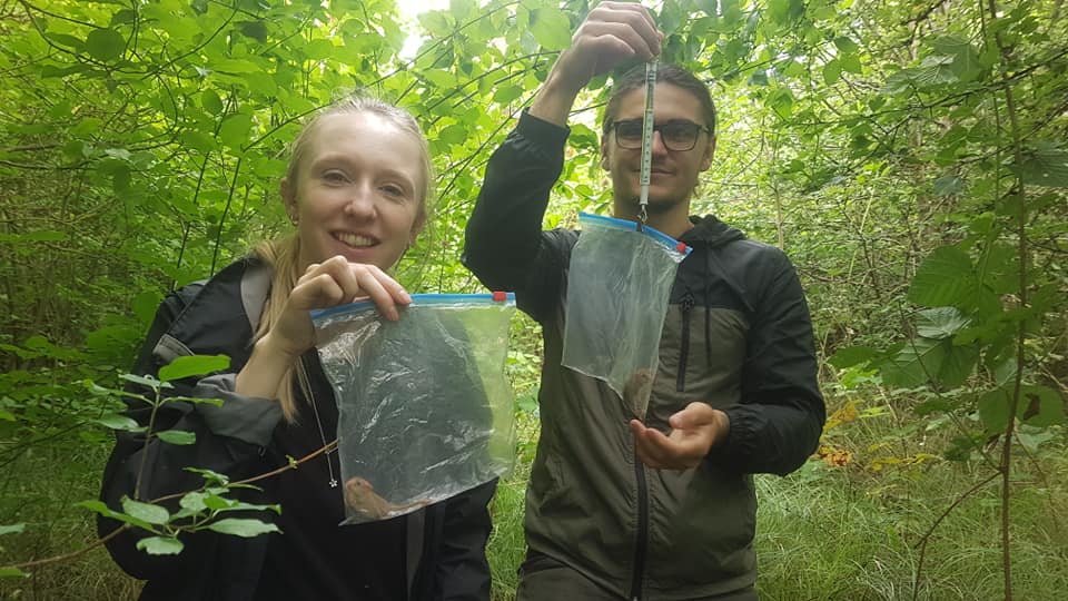 Volunteers checking a dormouse nest box in the woods